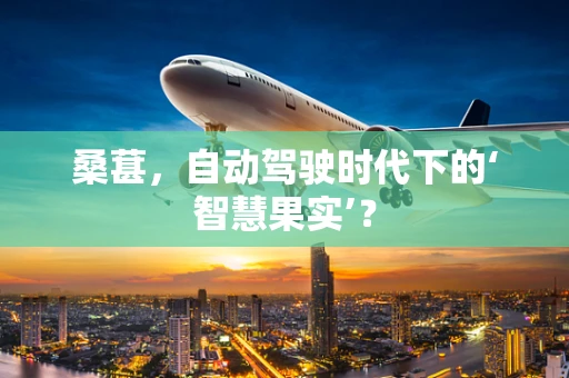 桑葚，自动驾驶时代下的‘智慧果实’？