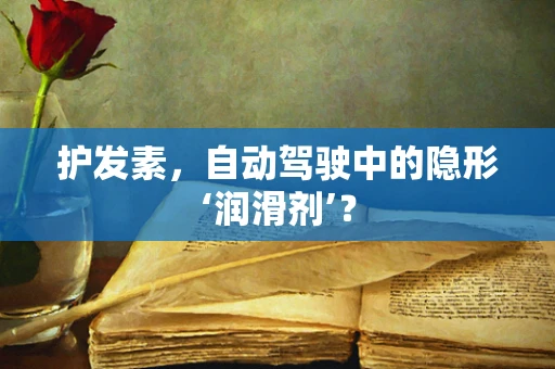 护发素，自动驾驶中的隐形‘润滑剂’？
