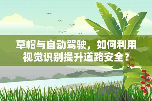 草帽与自动驾驶，如何利用视觉识别提升道路安全？