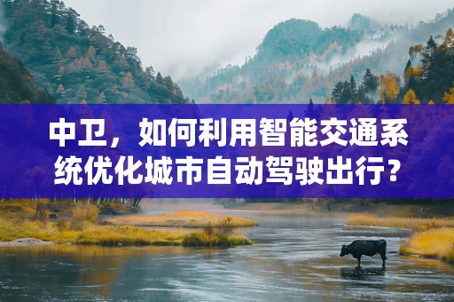 中卫，如何利用智能交通系统优化城市自动驾驶出行？