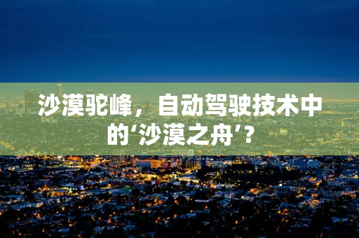 沙漠驼峰，自动驾驶技术中的‘沙漠之舟’？