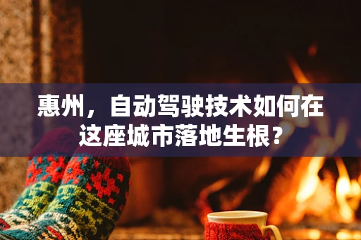 惠州，自动驾驶技术如何在这座城市落地生根？