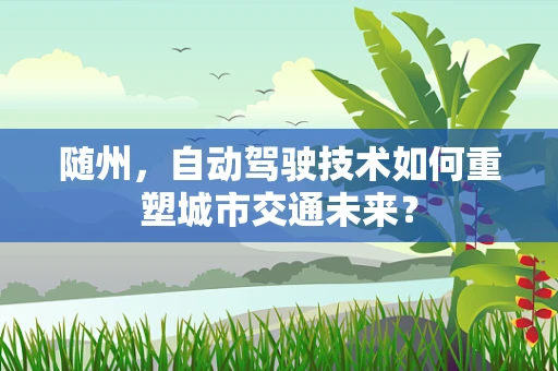 随州，自动驾驶技术如何重塑城市交通未来？