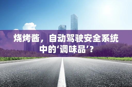烧烤酱，自动驾驶安全系统中的‘调味品’？