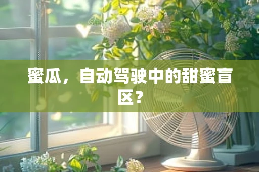 蜜瓜，自动驾驶中的甜蜜盲区？