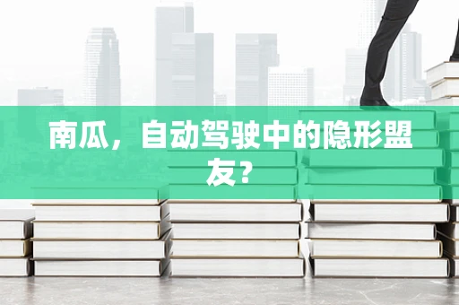 南瓜，自动驾驶中的隐形盟友？
