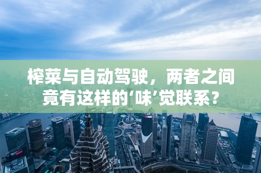 榨菜与自动驾驶，两者之间竟有这样的‘味’觉联系？