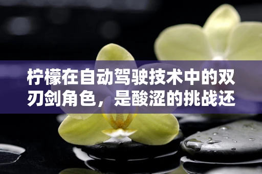 柠檬在自动驾驶技术中的双刃剑角色，是酸涩的挑战还是清新的机遇？
