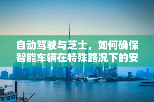 自动驾驶与芝士，如何确保智能车辆在特殊路况下的安全刹车？