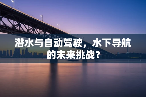 潜水与自动驾驶，水下导航的未来挑战？
