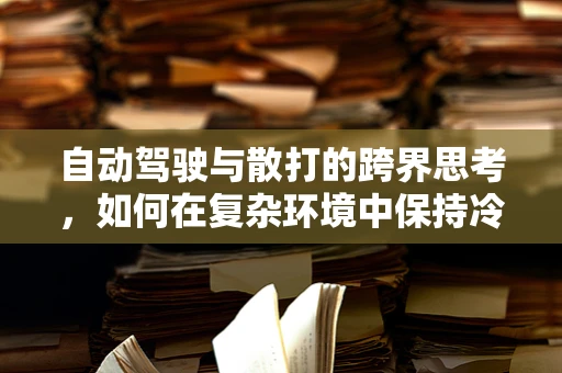 自动驾驶与散打的跨界思考，如何在复杂环境中保持冷静与精准？