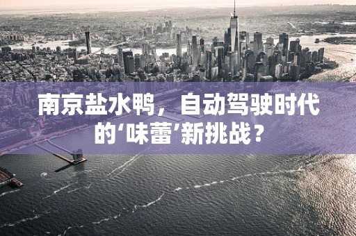 南京盐水鸭，自动驾驶时代的‘味蕾’新挑战？