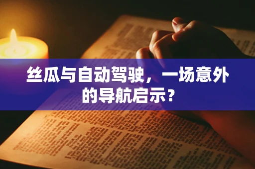 丝瓜与自动驾驶，一场意外的导航启示？