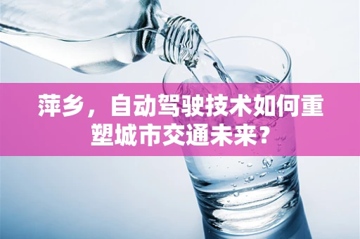 萍乡，自动驾驶技术如何重塑城市交通未来？