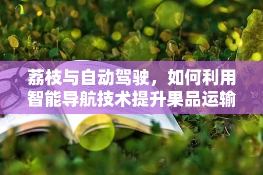 荔枝与自动驾驶，如何利用智能导航技术提升果品运输效率？