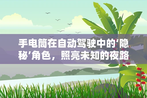 手电筒在自动驾驶中的‘隐秘’角色，照亮未知的夜路？