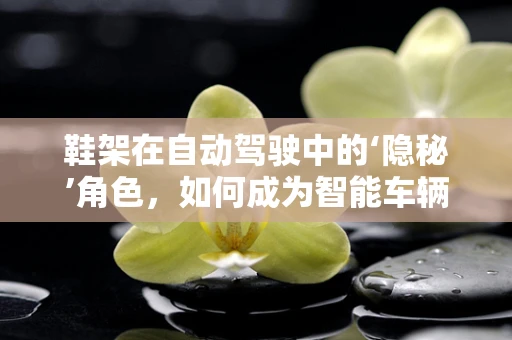鞋架在自动驾驶中的‘隐秘’角色，如何成为智能车辆安全停靠的‘守护者’？