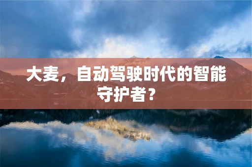 大麦，自动驾驶时代的智能守护者？