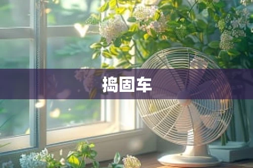 捣固车