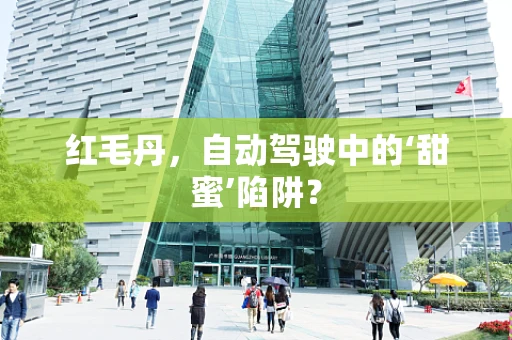 红毛丹，自动驾驶中的‘甜蜜’陷阱？