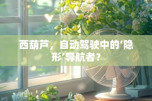 西葫芦，自动驾驶中的‘隐形’导航者？