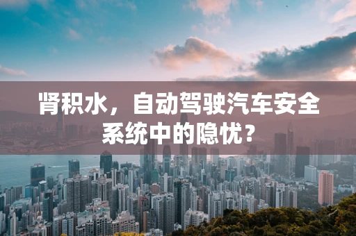 肾积水，自动驾驶汽车安全系统中的隐忧？
