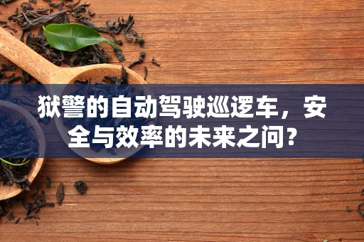 狱警的自动驾驶巡逻车，安全与效率的未来之问？