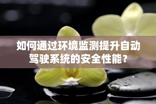 如何通过环境监测提升自动驾驶系统的安全性能？