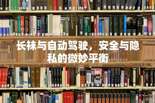 长袜与自动驾驶，安全与隐私的微妙平衡