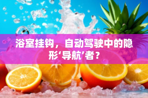 浴室挂钩，自动驾驶中的隐形‘导航’者？