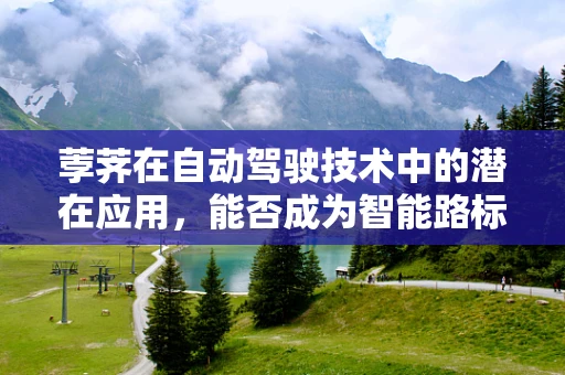 荸荠在自动驾驶技术中的潜在应用，能否成为智能路标的创新材料？