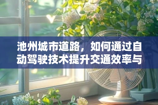 池州城市道路，如何通过自动驾驶技术提升交通效率与安全？