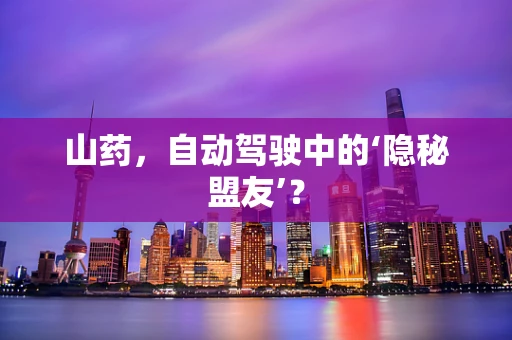 山药，自动驾驶中的‘隐秘盟友’？