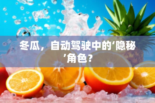 冬瓜，自动驾驶中的‘隐秘’角色？