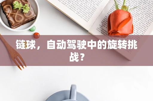 链球，自动驾驶中的旋转挑战？