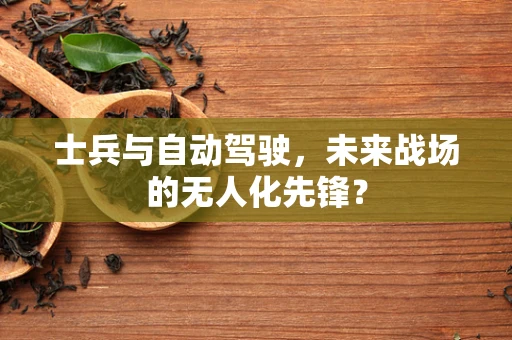 士兵与自动驾驶，未来战场的无人化先锋？