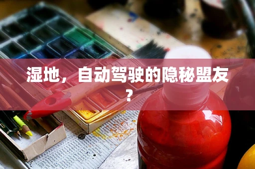 湿地，自动驾驶的隐秘盟友？
