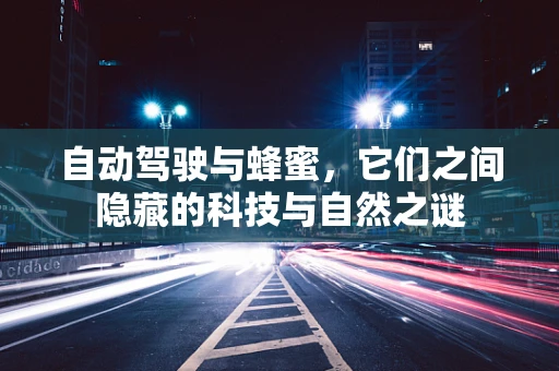 自动驾驶与蜂蜜，它们之间隐藏的科技与自然之谜