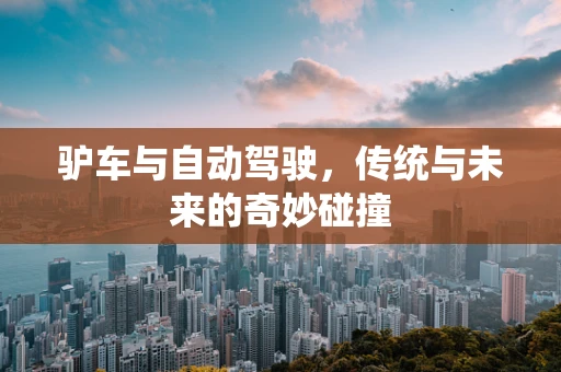 驴车与自动驾驶，传统与未来的奇妙碰撞