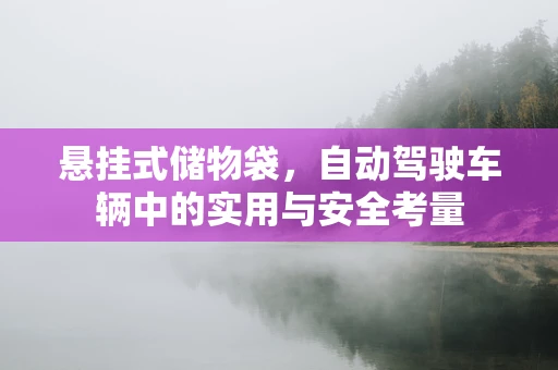 悬挂式储物袋，自动驾驶车辆中的实用与安全考量