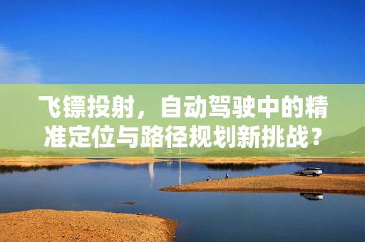 飞镖投射，自动驾驶中的精准定位与路径规划新挑战？