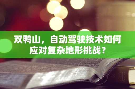 双鸭山，自动驾驶技术如何应对复杂地形挑战？
