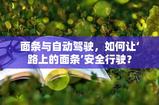 面条与自动驾驶，如何让‘路上的面条’安全行驶？