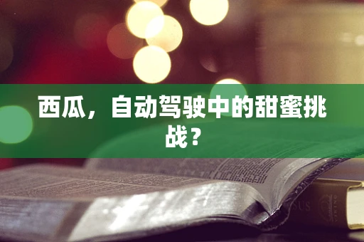 西瓜，自动驾驶中的甜蜜挑战？