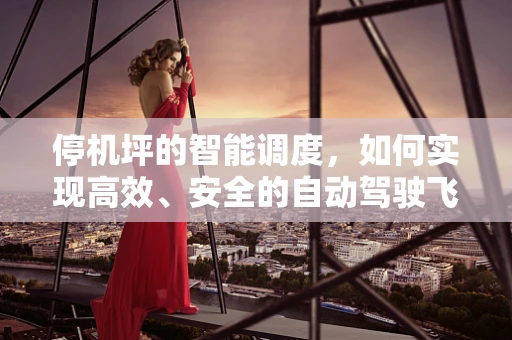 停机坪的智能调度，如何实现高效、安全的自动驾驶飞机停放？