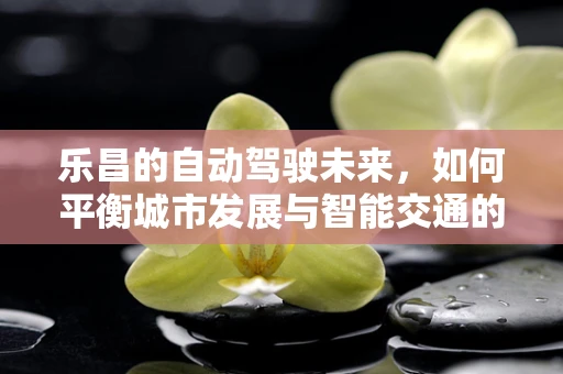 乐昌的自动驾驶未来，如何平衡城市发展与智能交通的融合？