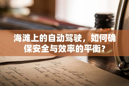 海滩上的自动驾驶，如何确保安全与效率的平衡？