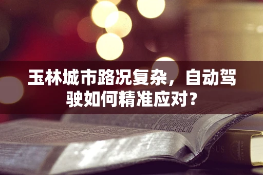 玉林城市路况复杂，自动驾驶如何精准应对？