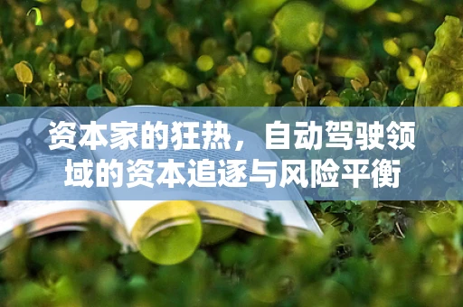 资本家的狂热，自动驾驶领域的资本追逐与风险平衡