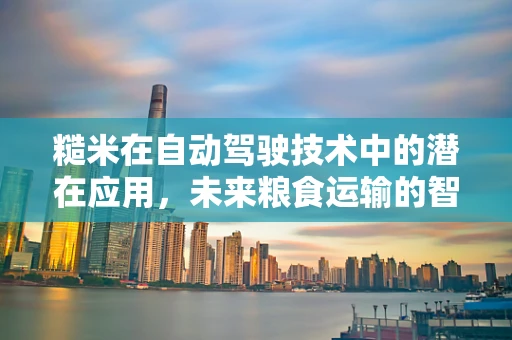 糙米在自动驾驶技术中的潜在应用，未来粮食运输的智能解决方案？